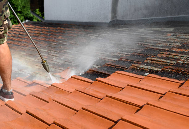 Best Pressure Washing Brick  in Holbrook, AZ