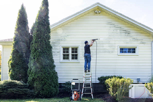 Best Pressure Washing Brick  in Holbrook, AZ