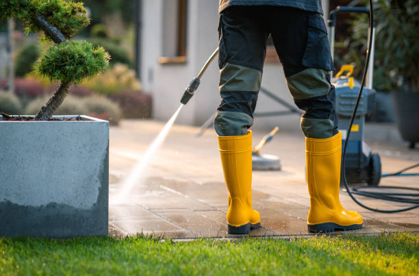 Best Affordable Pressure Washing  in Holbrook, AZ